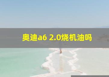 奥迪a6 2.0烧机油吗